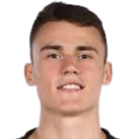 迪米特里耶維奇