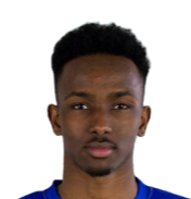 費薩爾·埃爾米