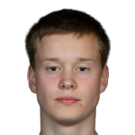 揚維·哈馬爾森