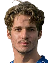 維格里內(nèi)克