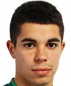 Z.弗拉迪斯拉夫