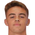 內(nèi)齊羅維奇