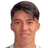 克里斯蒂安·阿拉維納