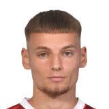 巴茲德里格尼斯