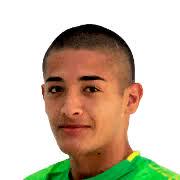 費(fèi)古埃洛阿